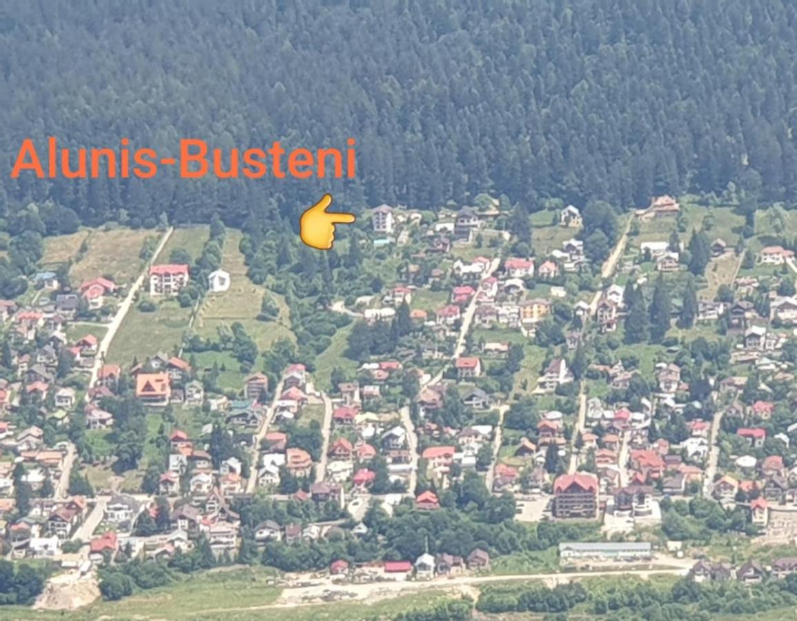 维拉阿鲁尼斯酒店 Buşteni 外观 照片