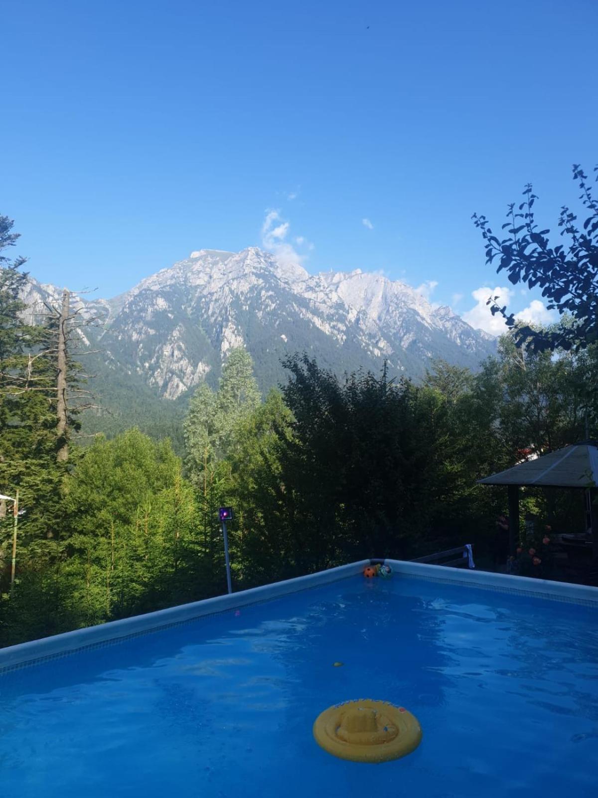 维拉阿鲁尼斯酒店 Buşteni 外观 照片