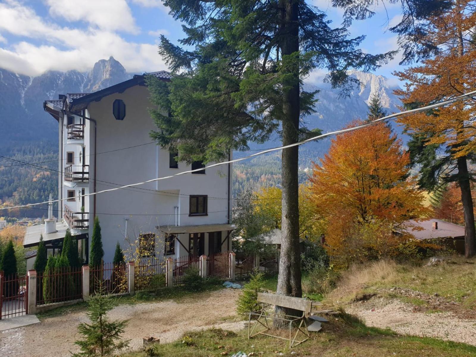 维拉阿鲁尼斯酒店 Buşteni 客房 照片
